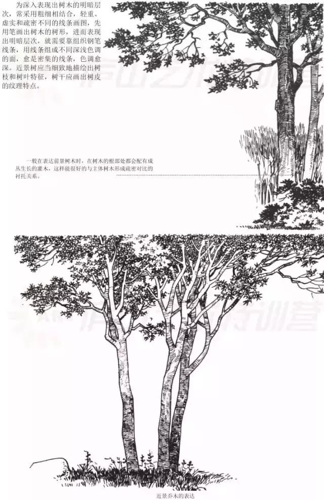 画画入门教程动漫人物0基础手绘,手绘基础入门教程手绘图片