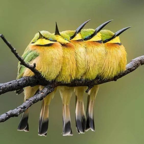 发现被别人偷拍照片,偷拍别人的照片是否违法