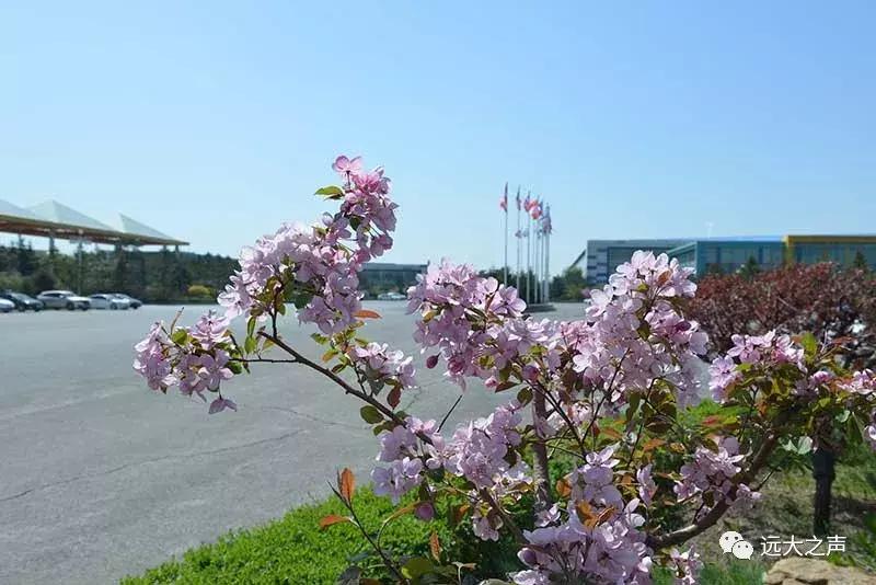 【魅力远大】远大之美