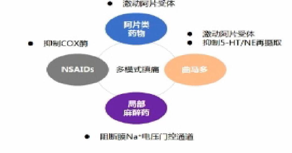 姚尚龙谈济世医学,姚尚龙院长简历