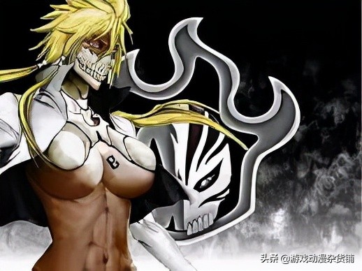 bleach死神十刃归刃,bleach死神所有卍解