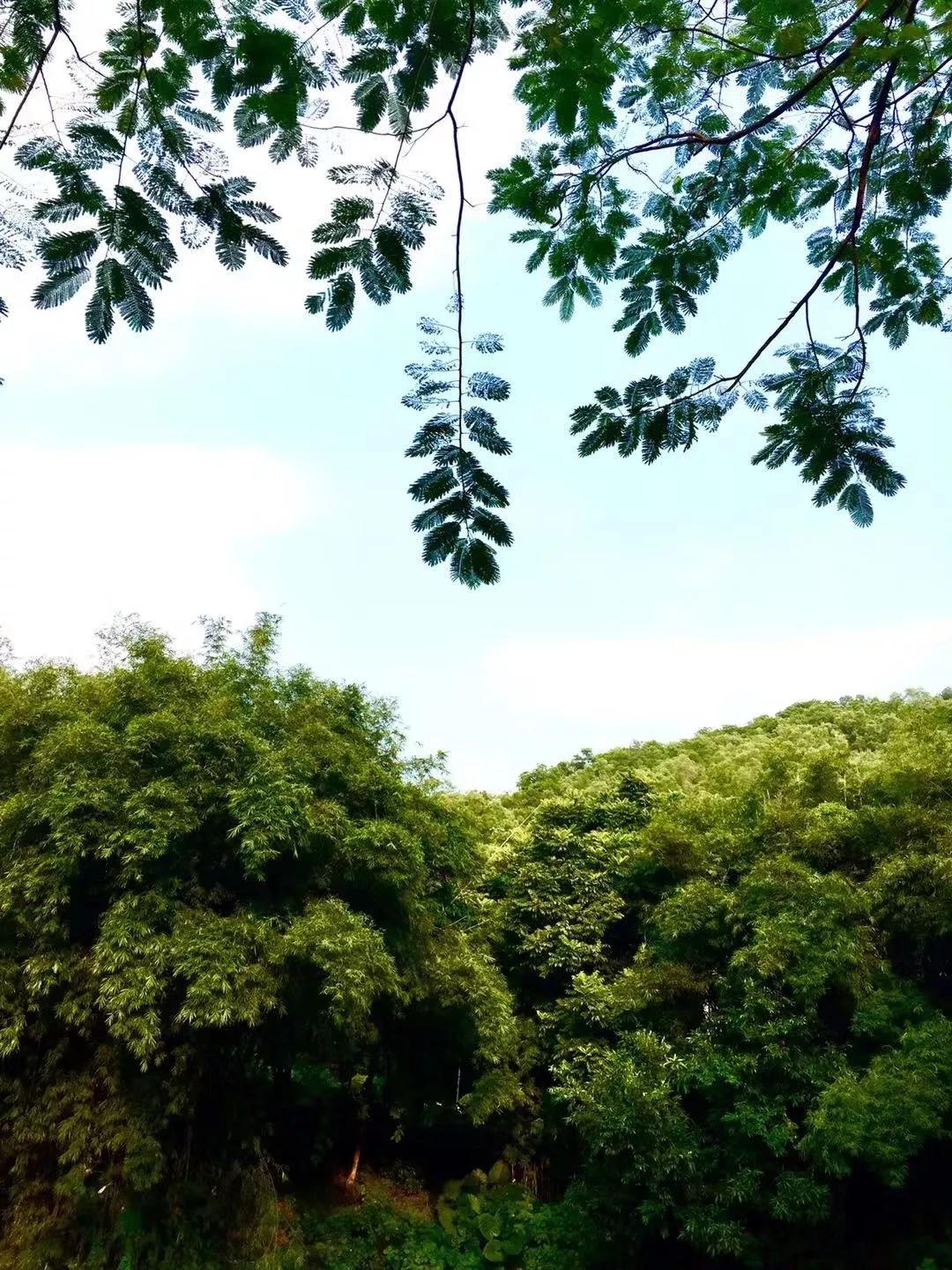 老妈癌症治疗日常记录,老妈食道癌晚期