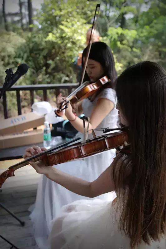 再过2天！仁寿森林音乐节来了，桐子花开满山头，粉白若雪！
