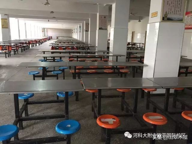 洛阳市欧亚国际学院,洛阳欧亚国际学校靠谱吗