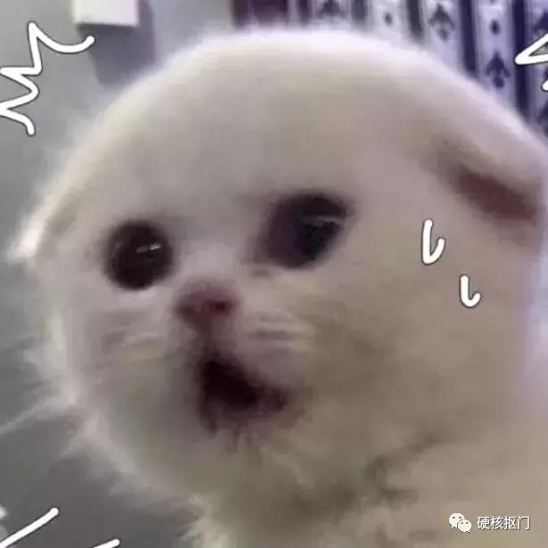 省钱|可以免费领的手机流量合集