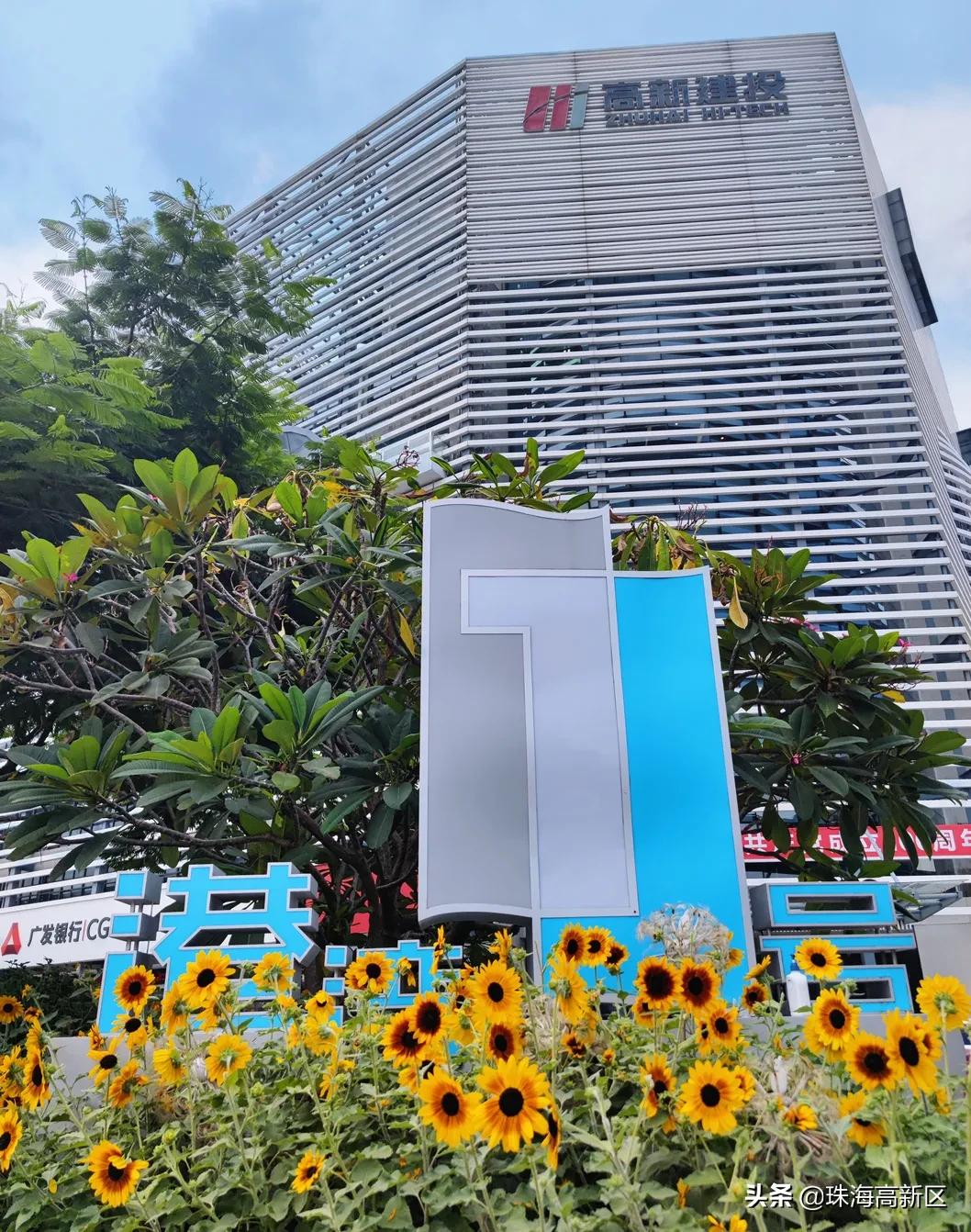 港湾一号最新消息今天,港湾1号最新视频