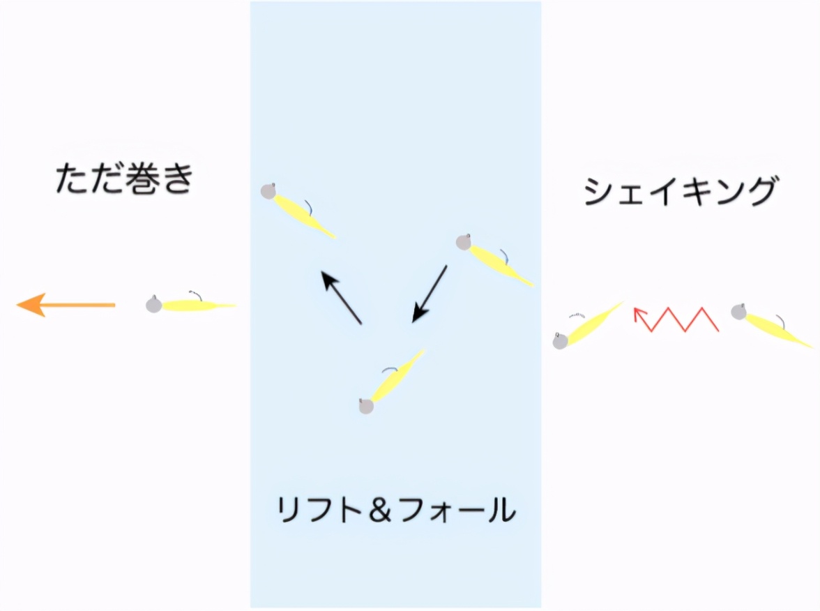 青竹鱼钓法和饵料,日本竹荚鱼的做法