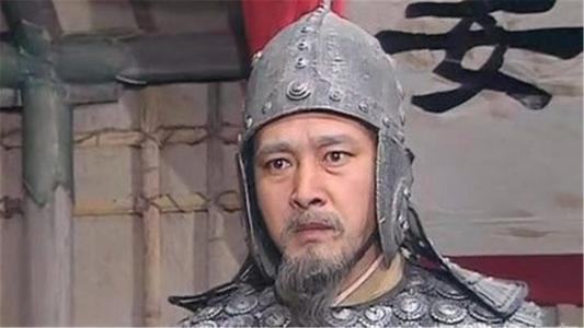 姜维真实实力,姜维有幼麟的称号吗