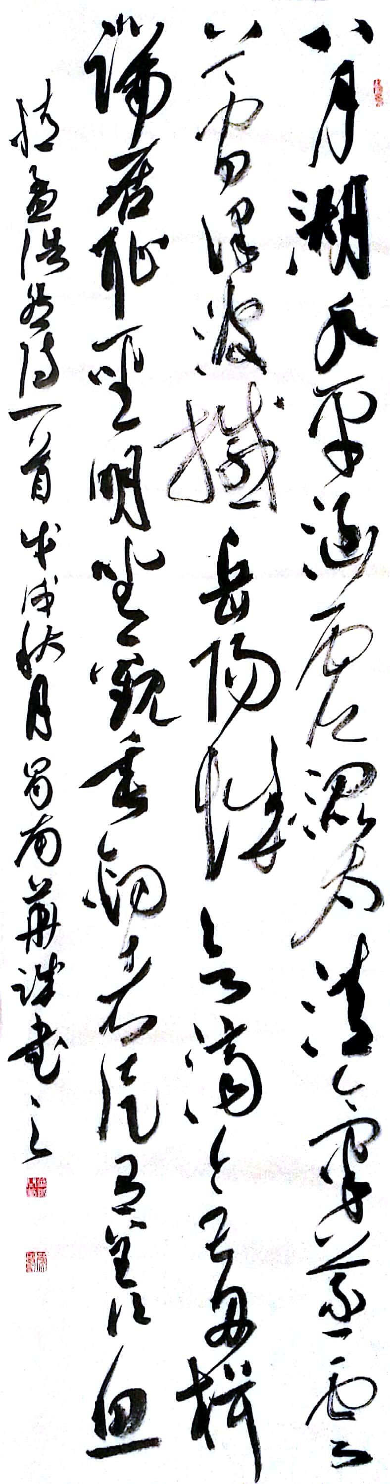 现代书法家华奎,当代书法家华伟