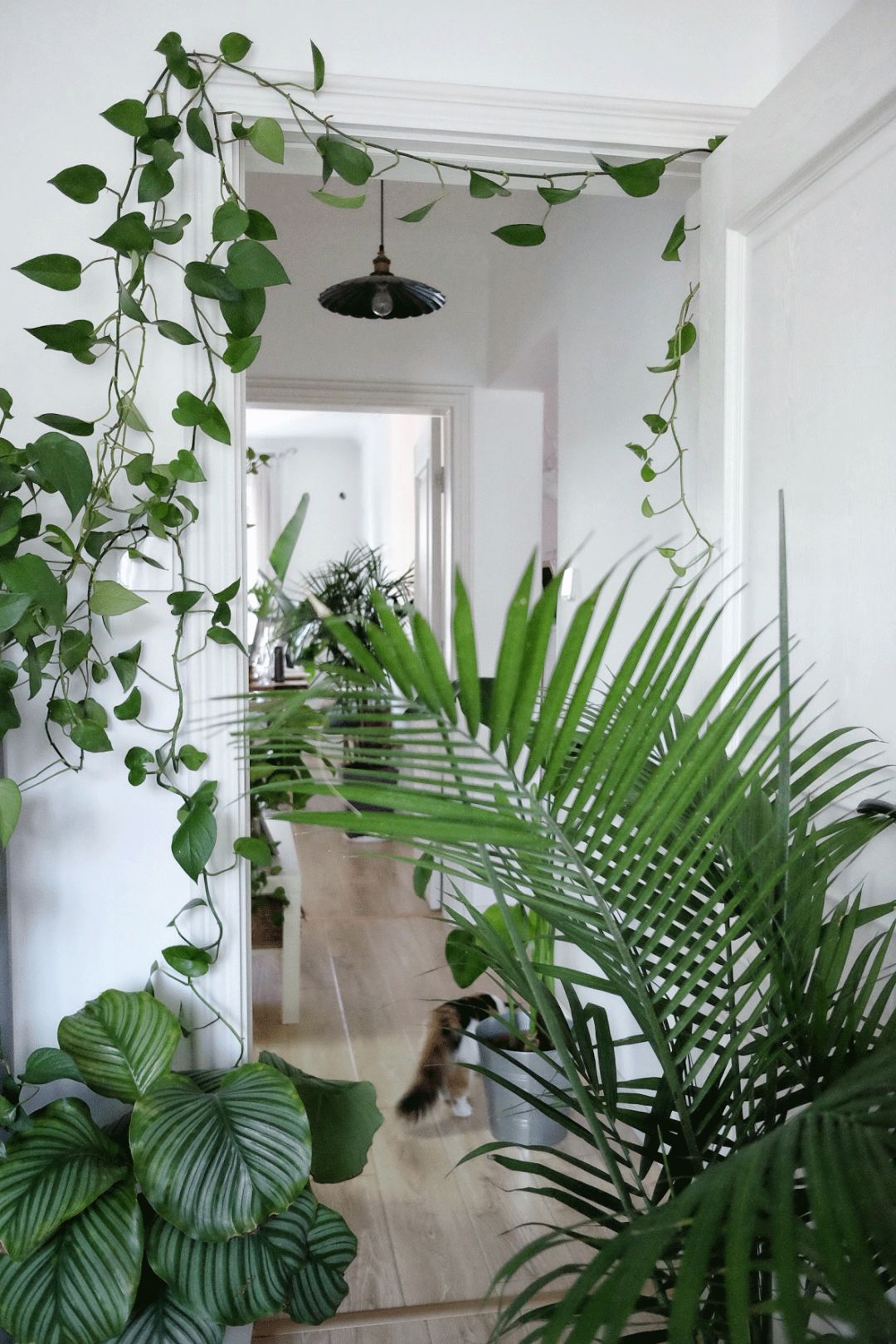 小夫妻98㎡家意外走红！登北京地铁广告，这个家才是都市里的奢侈