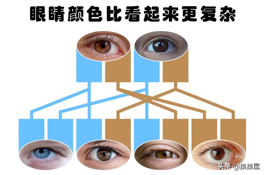 孩子长得不像父母自己长一个样,孩子长得根本不像自己全家人