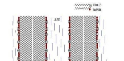 蜂花护发素多少钱一瓶,蜂花护发素有什么危害