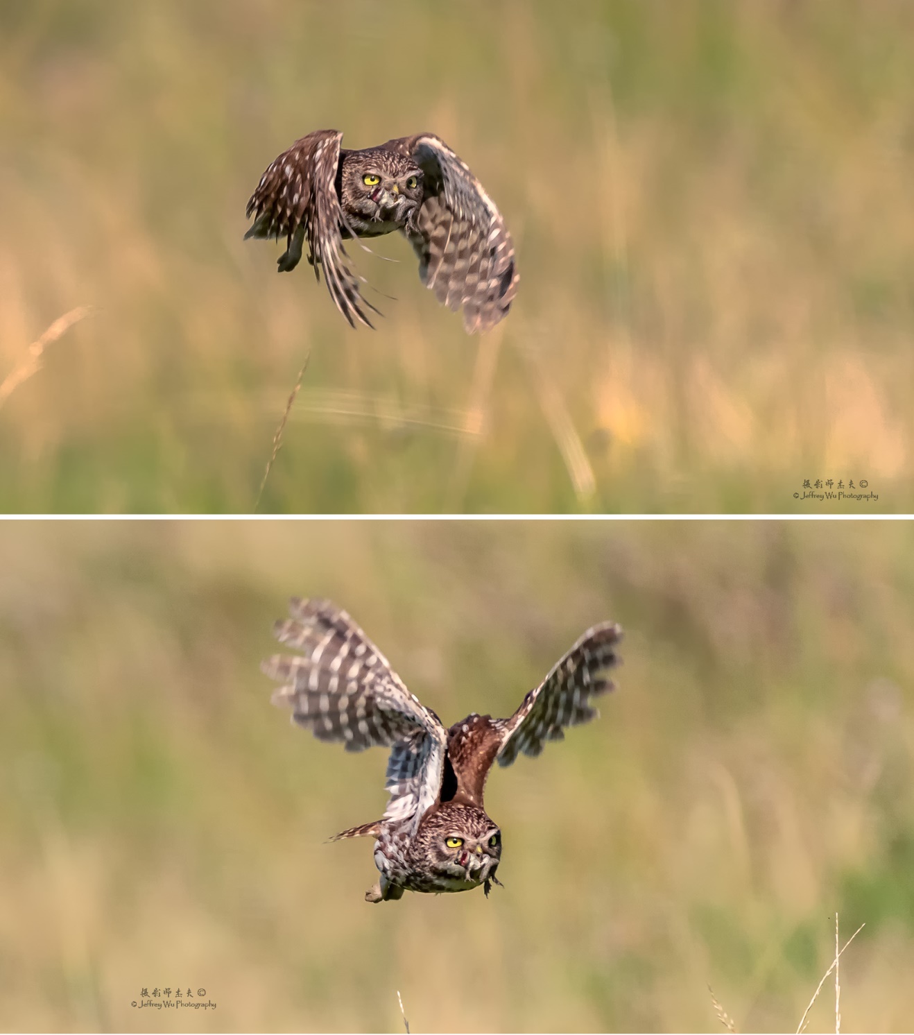 尼康nikond850拍摄视频,摄影器材篇尼康d850