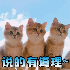 景甜倪妮同台2019年,倪妮景甜最新消息