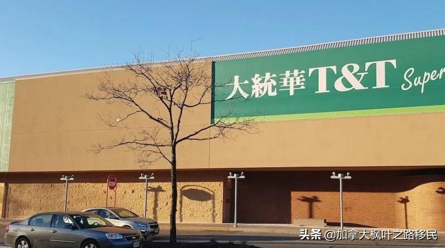 加拿大新移民如何选择温哥华和多伦多?你更喜欢哪个呢