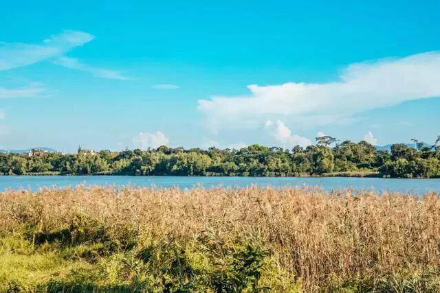 深圳免费公园哪里最好啊,深圳十大免费公园景点大全