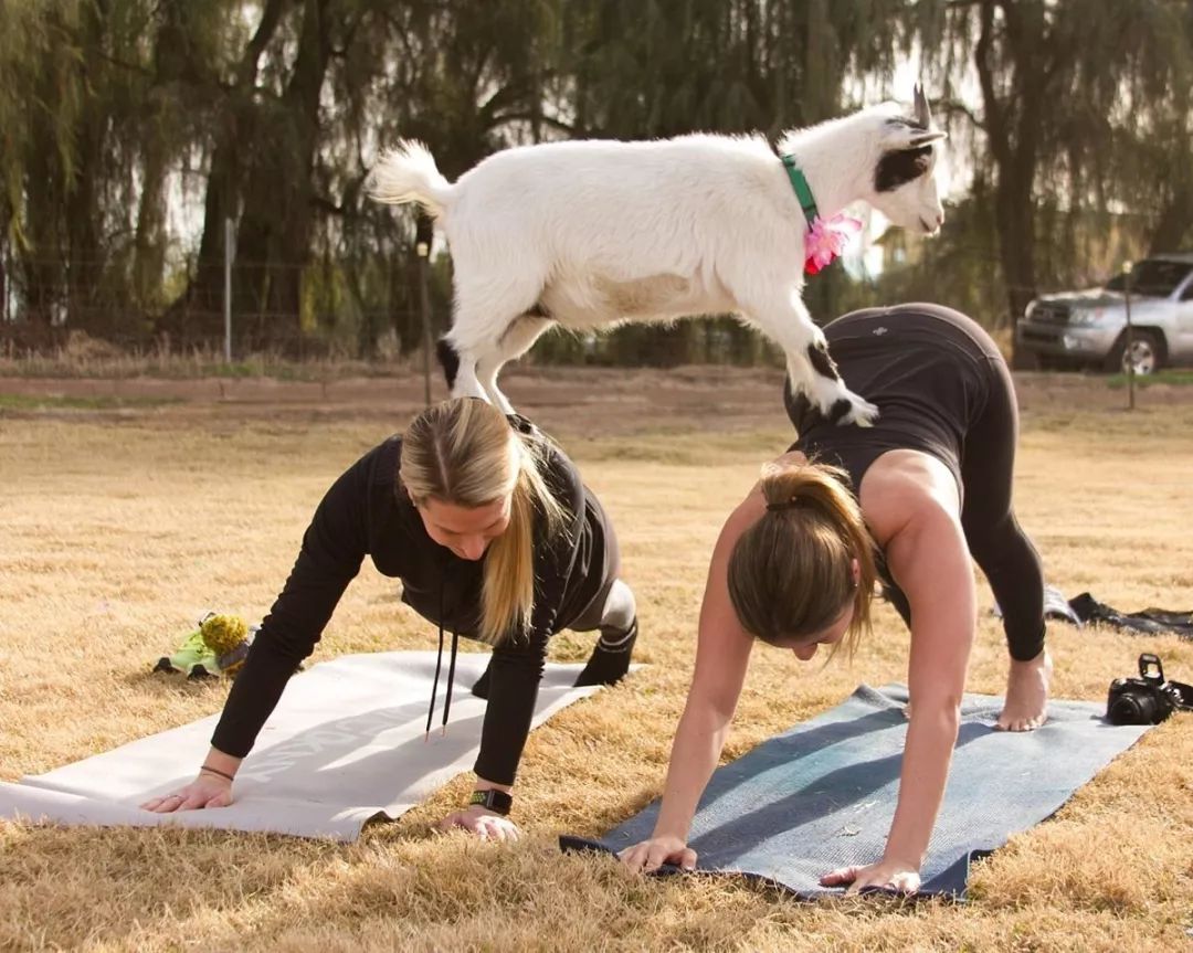 大家都在用什么解压方法,一个很神奇的解压方式