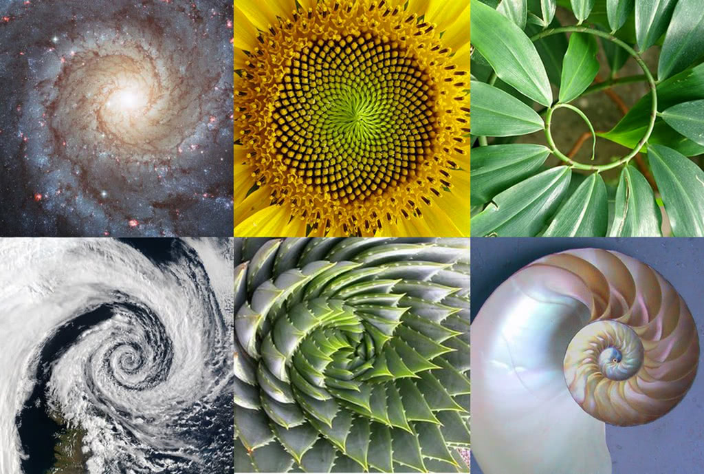 自然常数e是什么它是怎么来的,自然常数e到底自然在哪