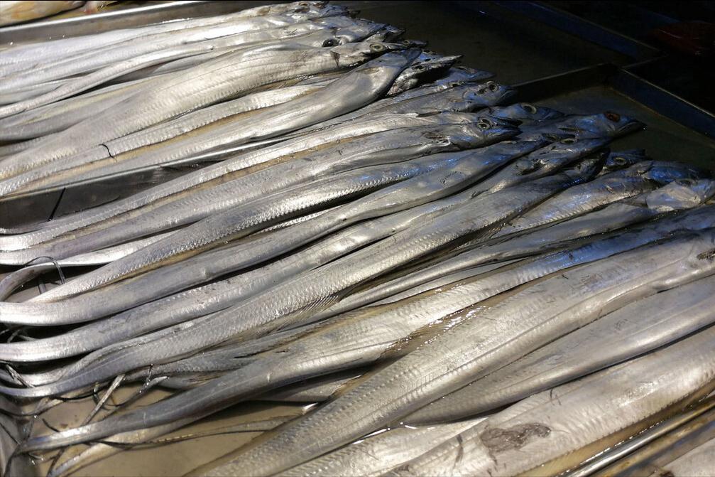 中国哪里的带鱼最好吃评测,全国哪里的带鱼最好吃