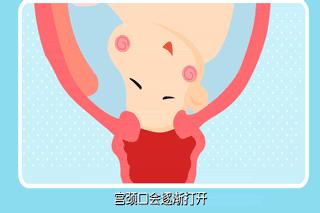 孕晚期孕妈妈们几乎都会关注的问题，建议看一下