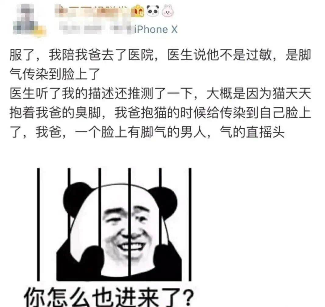 被猫咪调戏怎么办,猫咪被阿姨骚扰