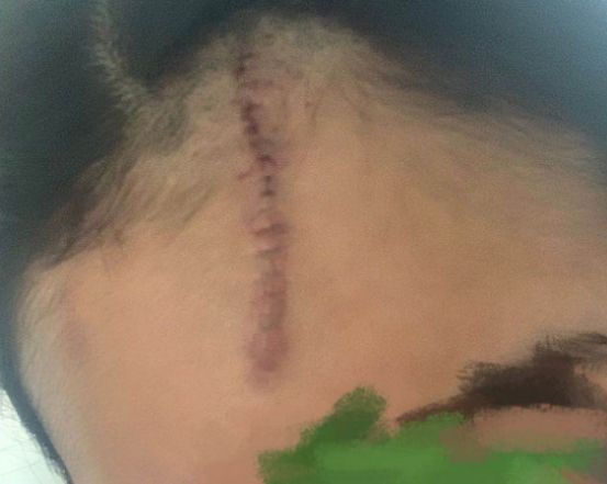 美团打车二次警告,美团打车最新处理结果