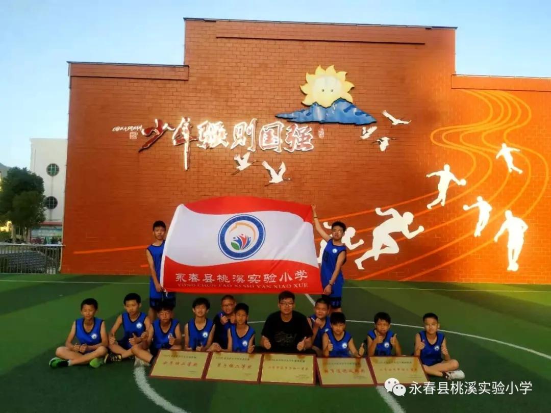 动起来，桃溪少年！——泛阳光体育之舟，展桃溪学子风采