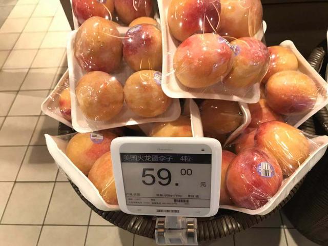 我们活在奇葩星球：皮卡丘是毛茸茸，恐龙蛋它不是蛋！