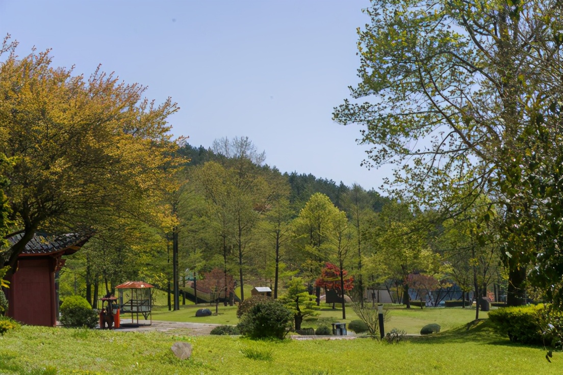 商量岗内的这家酒店,四季气候适宜居住,住客宛若身处桃花源