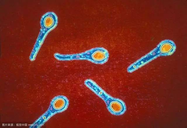 脸部受伤需要打破伤风针吗,受伤就要打破伤风吗