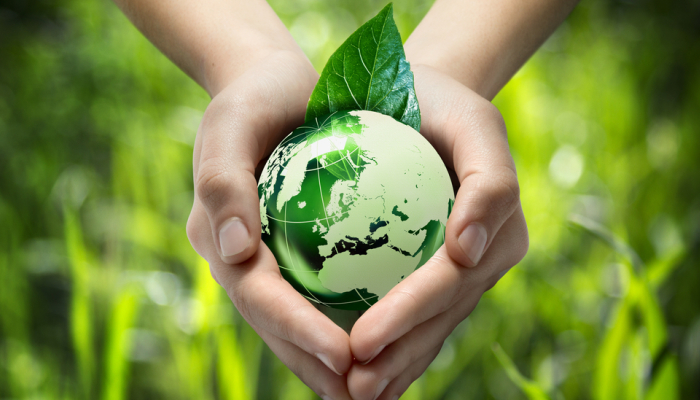 有机蔬菜是不是智商税,为什么说有机蔬菜是交智商税