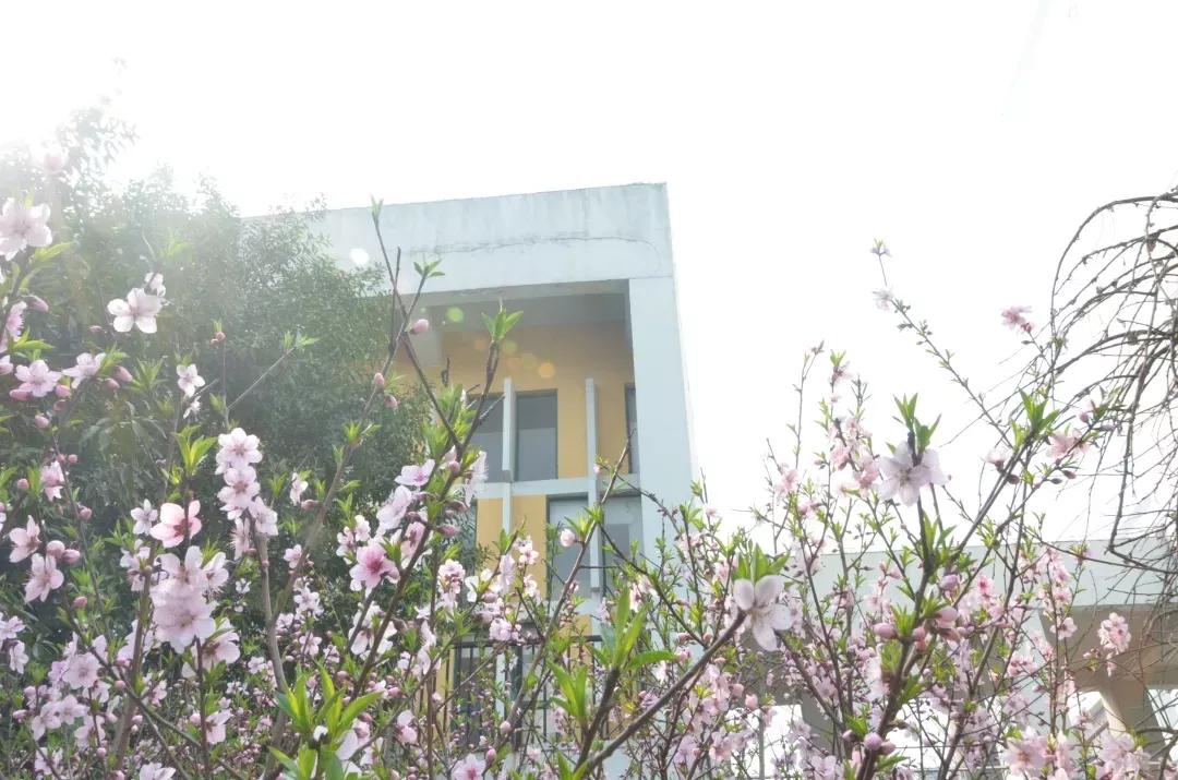 江苏省高校（五十一）南京航空航天大学金城学院