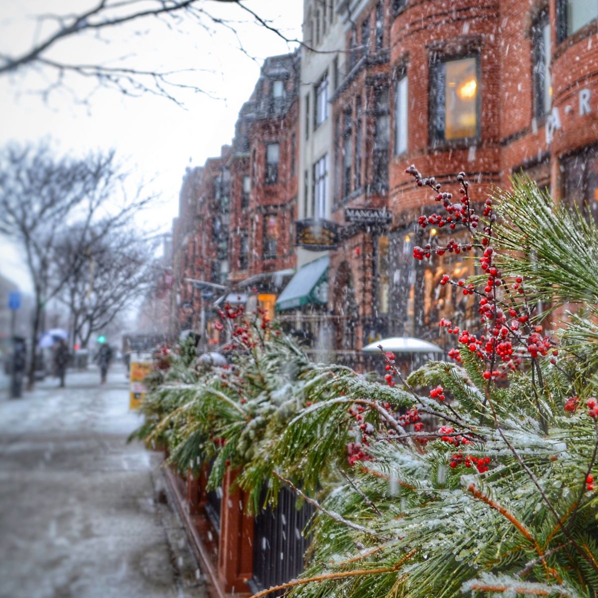 「四大购物街」波士顿纵横阡陌的街道里，哪几条最值得去？