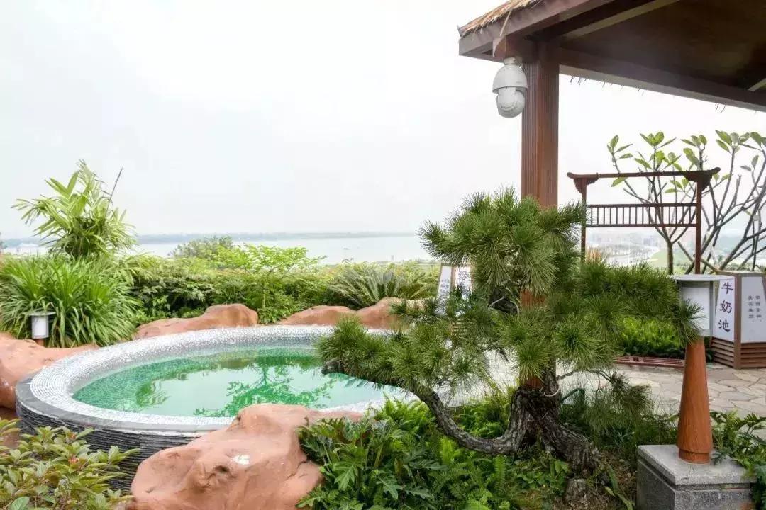 打卡佛山极度奢华的温德姆至尊酒店，2大1小仅899,吃，玩，住样样齐