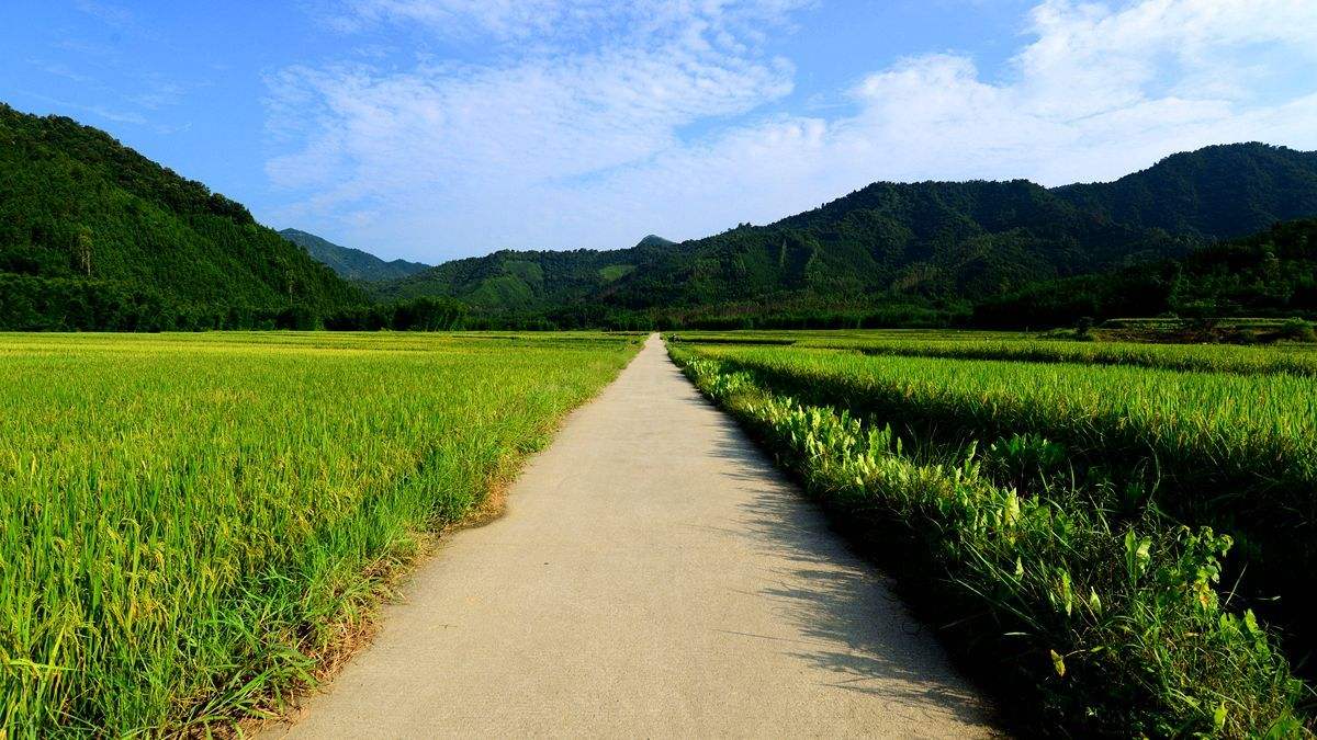 乡土散文：那些年，我是一个民师