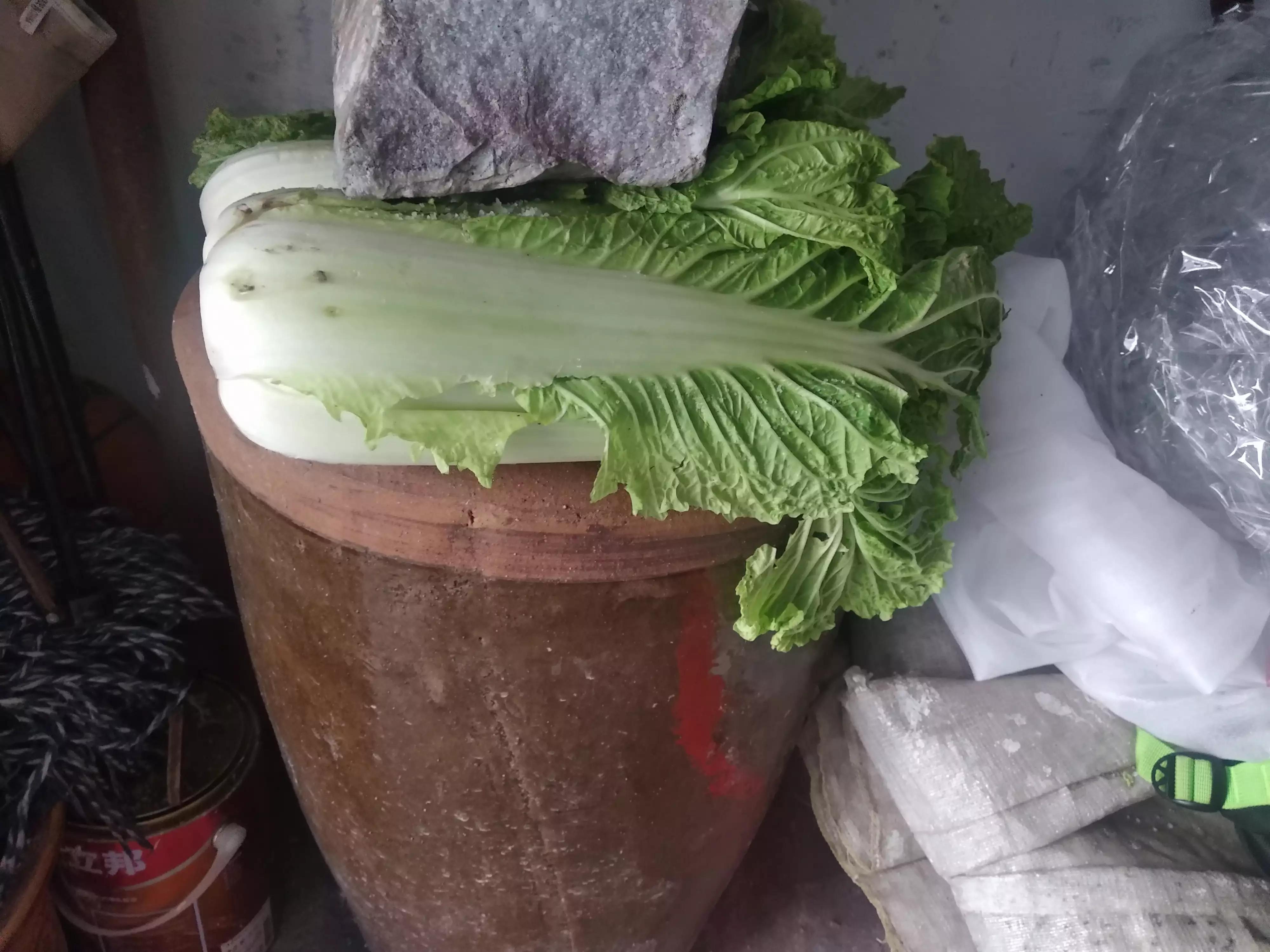 家有余粮心不慌正能量,家有余粮心不慌抖音