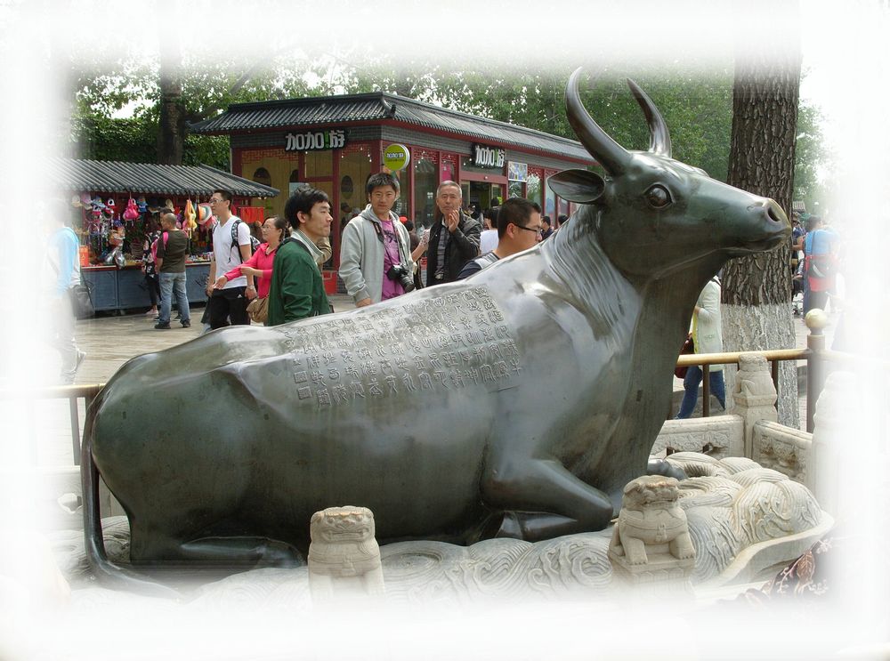 霸气铜牛 (高端铜牛)