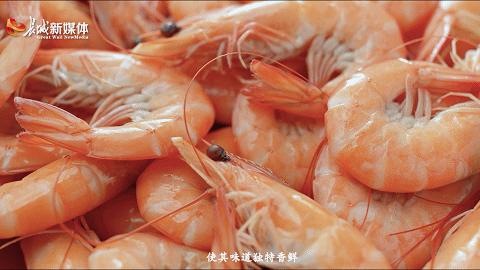 来乐亭,尝秋天的第一口“鲜”儿