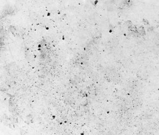 家里墙漆发霉用什么油漆修复,墙裂开发霉刷墙漆教程