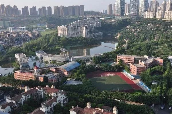 重庆教育最好的区,重庆教育最好的板块