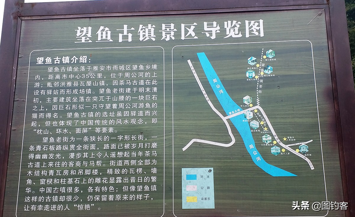 雅鱼是雅安特有的吗,雅鱼四川雅安市国家地理标志产品
