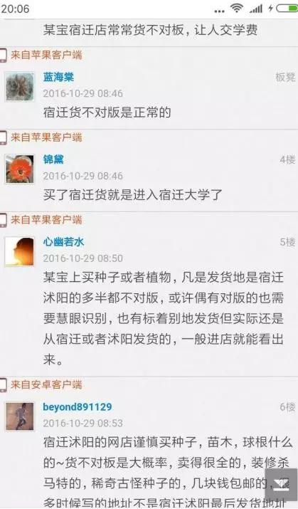 淘宝网店的宿迁神苗,宿迁神苗什么意思