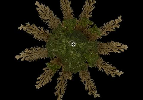 最敢挑战人性的行为艺术家，在网上教你思考一颗石头