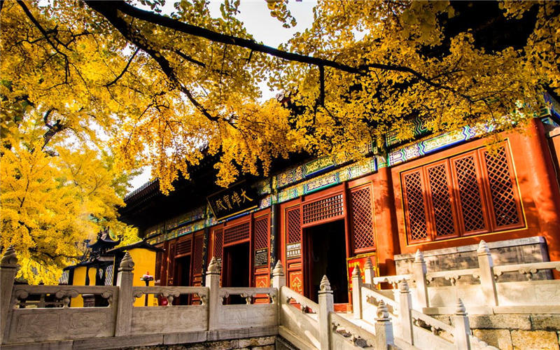 北京赏秋十大打卡地,北京赏秋