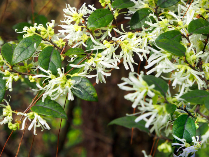 诗词大会第四季董卿唯美开场词,诗词大会第一季董卿唯美开场白