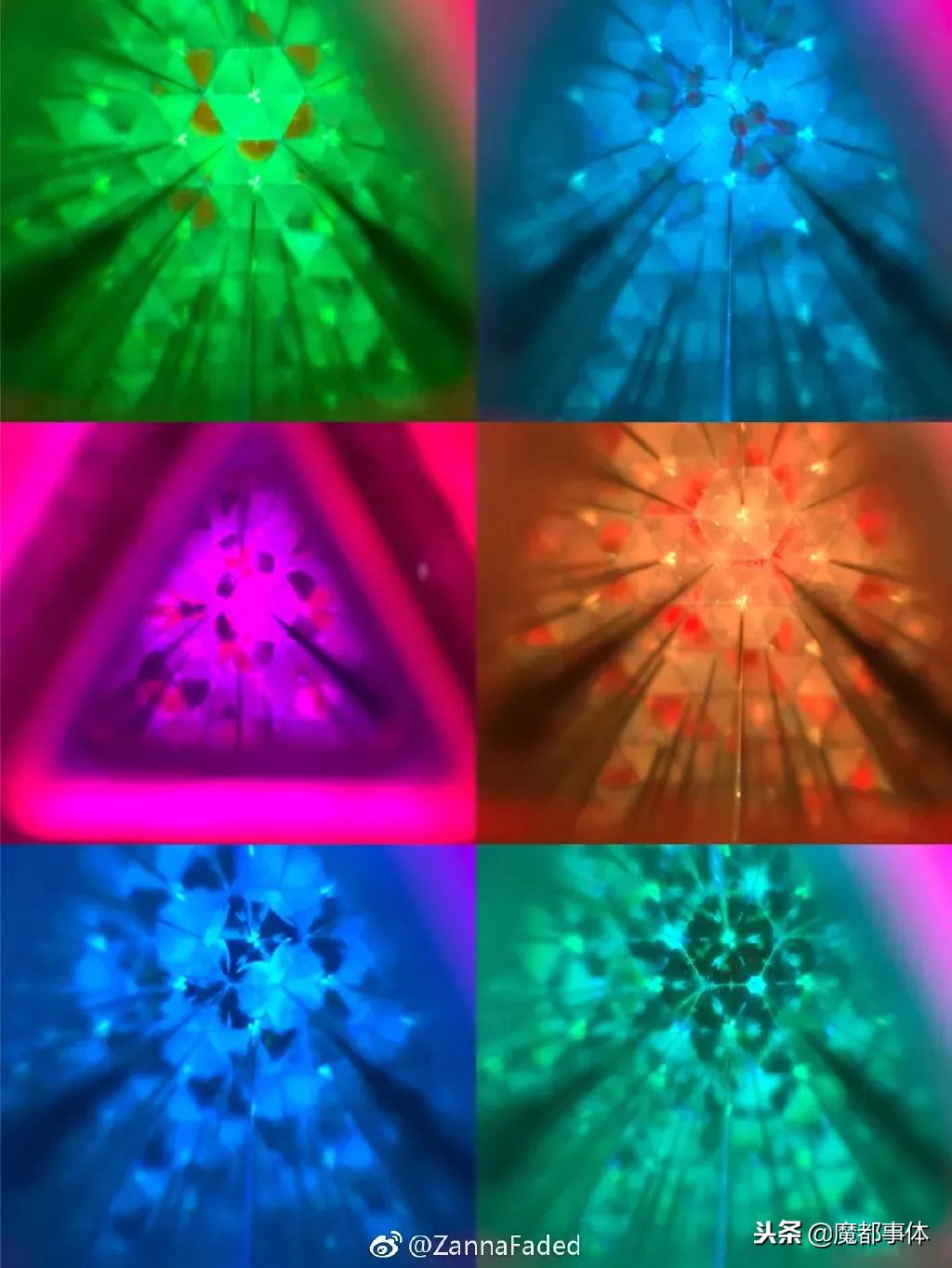 上海天安千树网红打卡点,上海打卡必去的地方排名