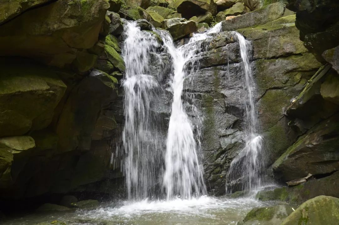 bw滤镜价格,bw滤镜哪里有正品