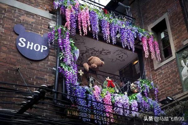 上海人的小资生活,上海是精致主义和小资情调