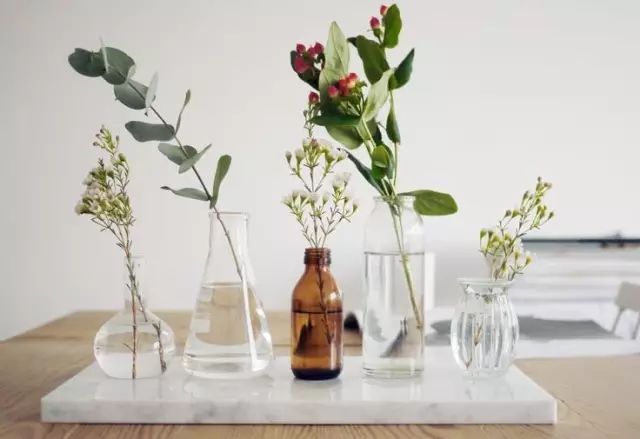 花店里买回来的鲜花怎么放更长久,花店鲜花如何保存时间可以比较长