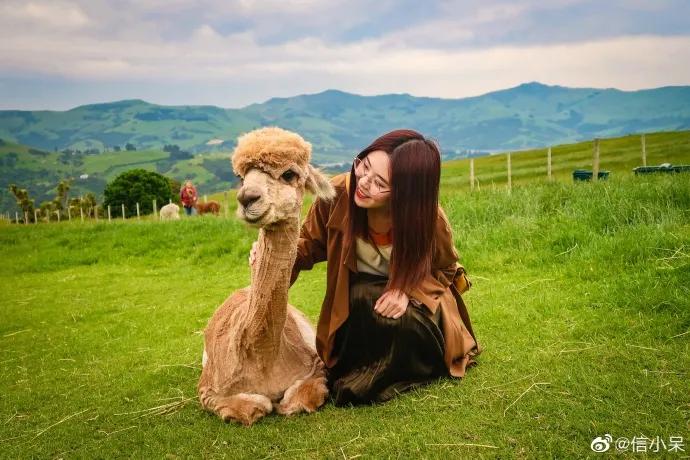 「中国锦鲤女孩」1元*局骗**背后，那些人设崩塌的中奖者